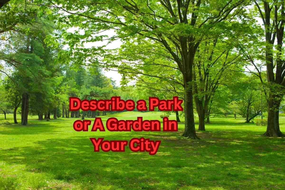 Describe a Park or A Garden in Your City: 15 Sample Answers